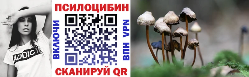 дарнет шоп  Называевск  Галлюциногенные грибы MAGIC MUSHROOMS 